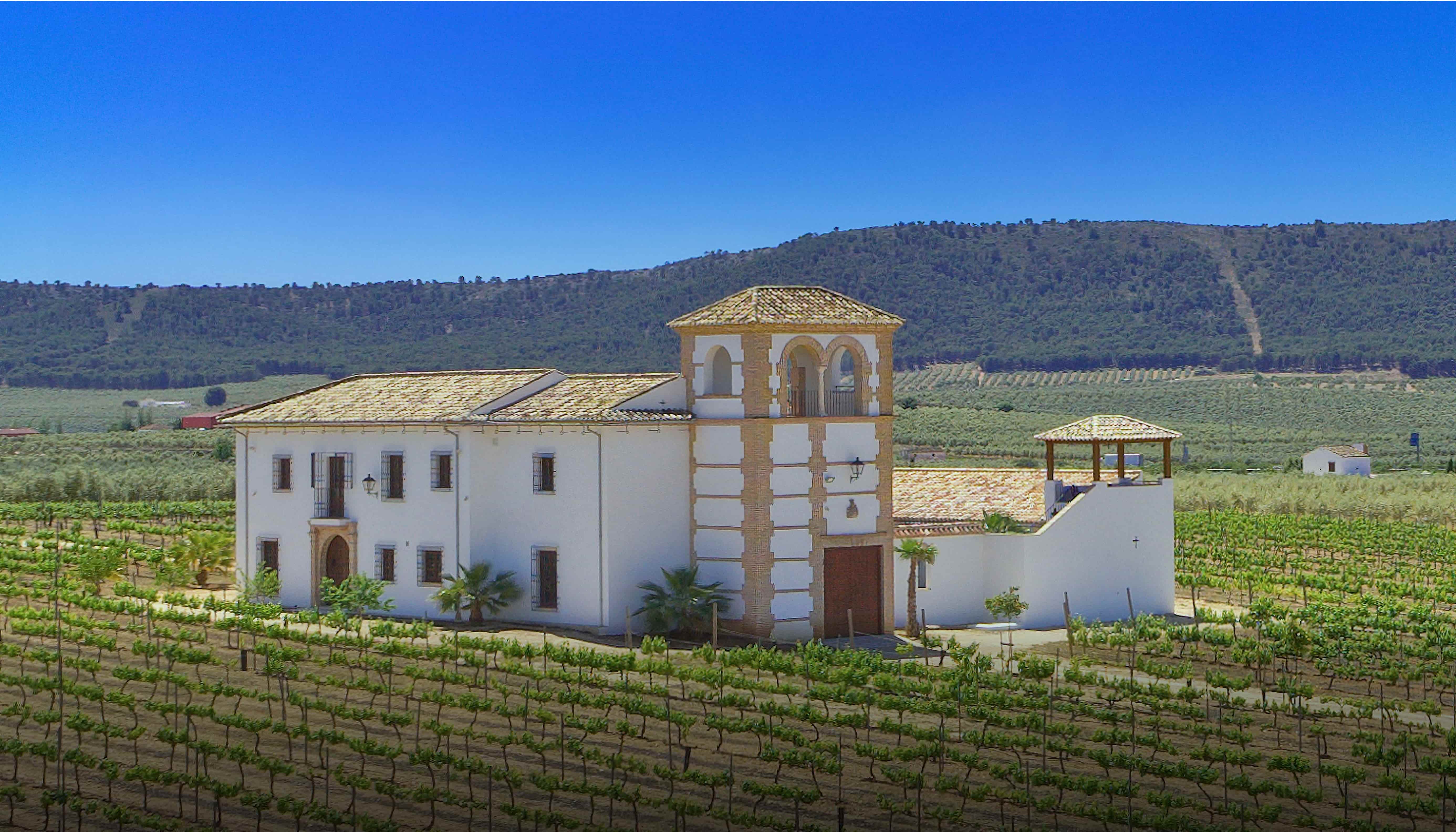 Archway looking out on vineyards
